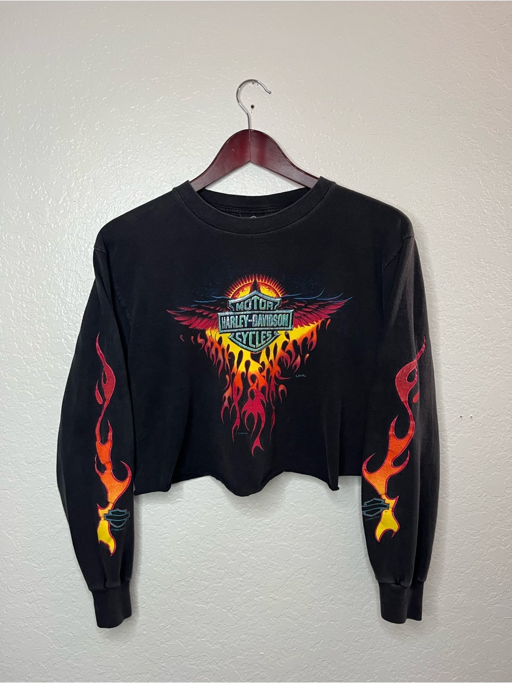 Vintage Harley Davidson Flame Graphic Cropped Long Sleeve Size Medium